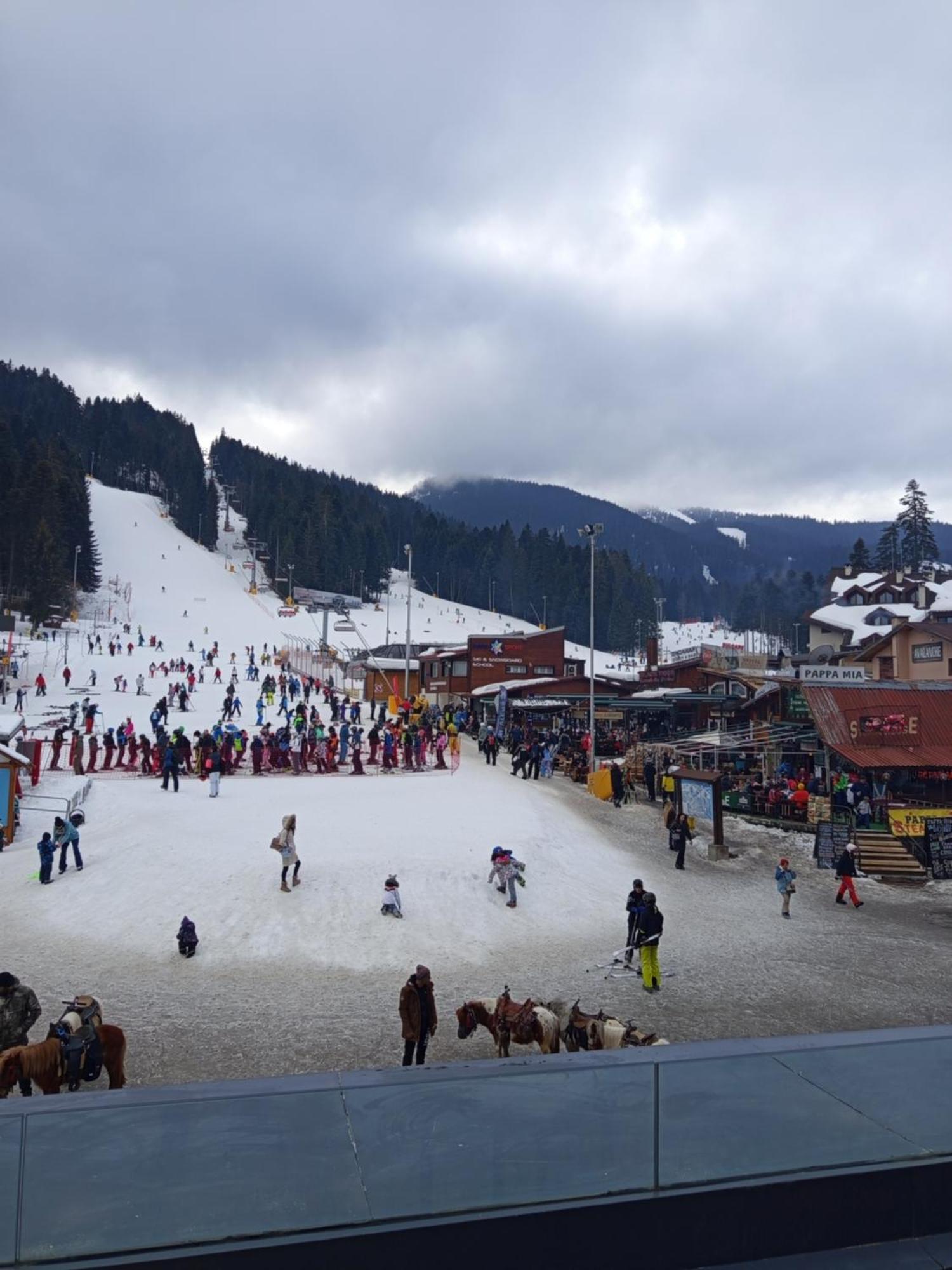 Iglika 2 Snowy Night V18 Hotel Borovets Exterior photo